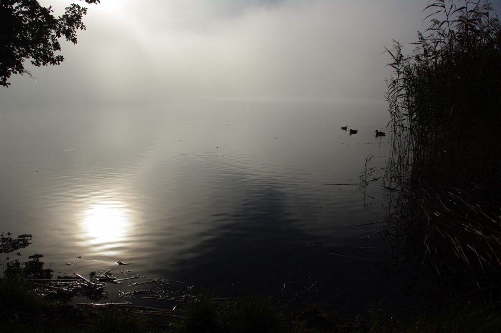 Masurischer See am Morgen mit ruhigem Wasser und Nebel