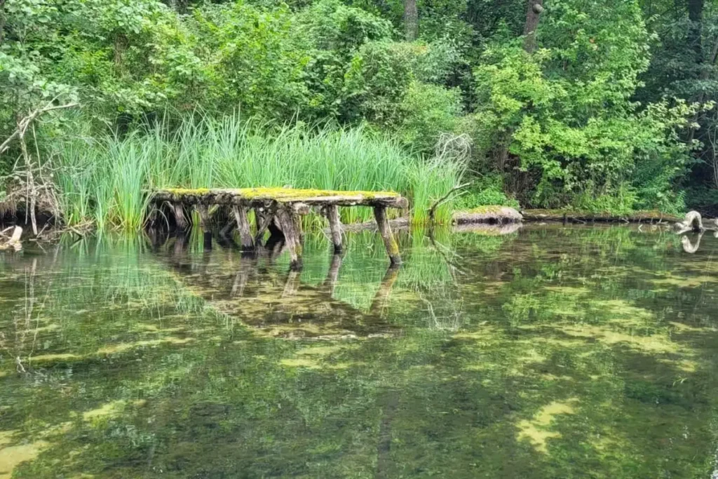 Kajaktour auf der Brahe (Brda) durch die Tucheler Heide – Klares Wasser und unberührte Natur