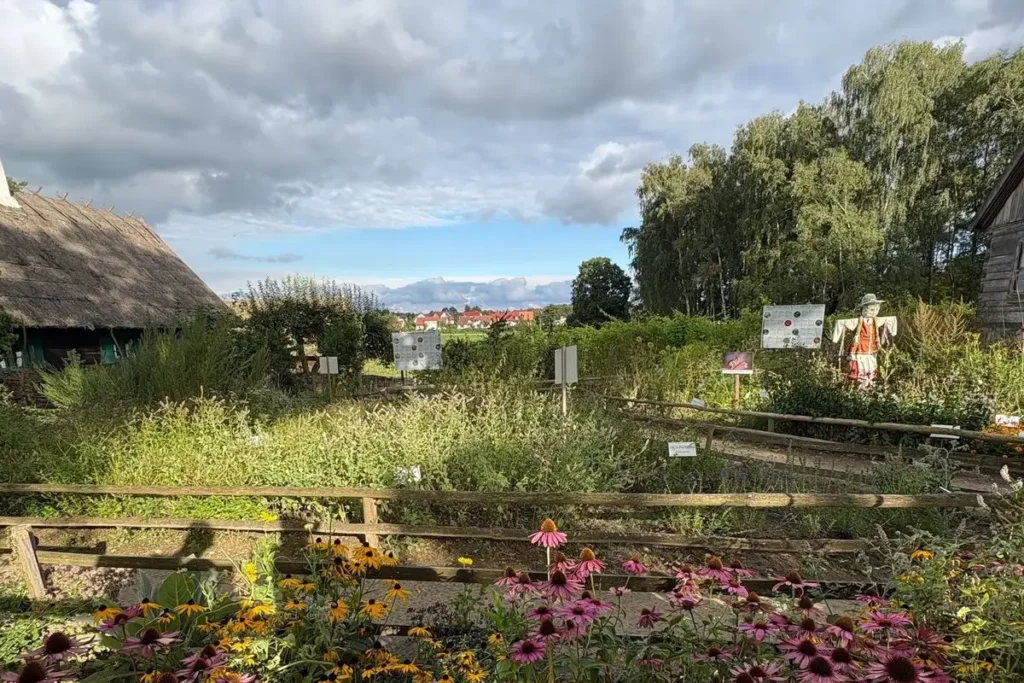 Freilichtmuseum in Olsztynek (Hohenstein) – Kräutergarten und historische Bauernhäuser in Ermland